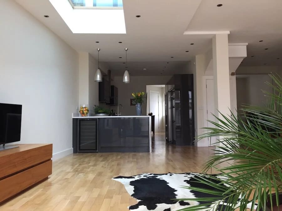 Modern open-plan loft with kitchen, skylight, wood flooring, plants, and pendant lights